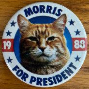 Morris.T.Cat