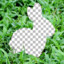 CanvasC
