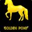 Golden_Pony