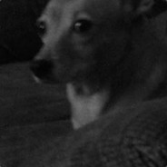 intergost507 's avatar