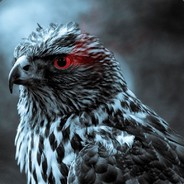 Binladen111111 avatar