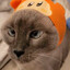 Chancey