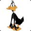 Daffy duck