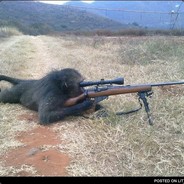 GunMonKeY
