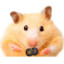 Nicotine Hamster