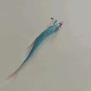 我的评价是不如UB