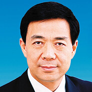 重庆市委书记—薄熙来