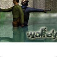 wolfey -_*