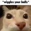 Balls Inspector