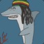 Reggae Shark