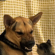 法外狂徒—吴签