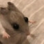 Detercry
