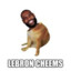 Lebron Cheems