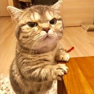 落地我就倒·舒服一秒是一秒