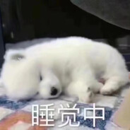 马楼的命也是命 神职