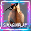 simaginplay