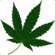 L3to Le Rigolo 2X2=22 ^^