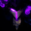 flydex's avatar