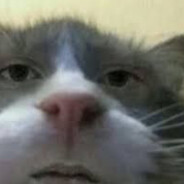Symphior