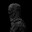 DARK