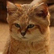 SANDKATZE