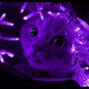 ɪᴛᴢ Wᴏʟғʏ ツ