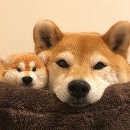 年轻人你这发型不行啊