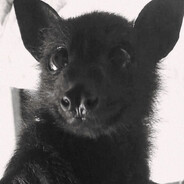nerri avatar