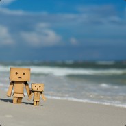 也许你也有遗憾吧