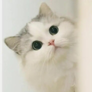 心态不好别玩街机