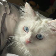 下一次看雪在哪