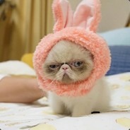mrakix avatar