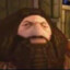 hagrid todo duro