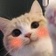 KittyMiaoUwU