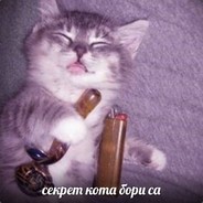 Cекрет Кота Борисa