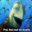 TURT