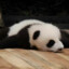 XINZUO