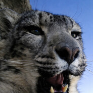 「ビーティー」