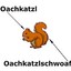 oachkatzlschwoaf