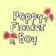 PoppyFlowerBoy