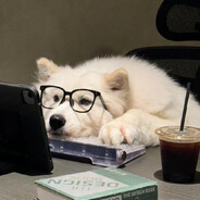 平平淡淡才是真