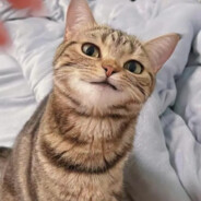 风之谷的娜乌西卡