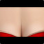 vip_zhaozheng
