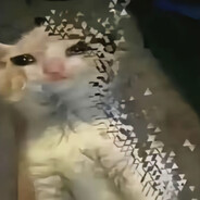 那年我双手插兜