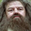 Rubeus Hagrid