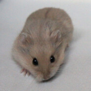 mgoo - steam id 76561198197101133