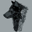 BlackWolf