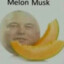 MELON MUSK