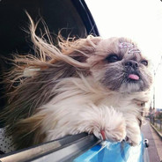 对你的爱恋如潮水