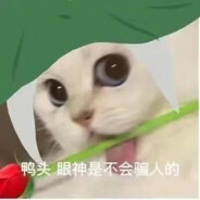 Stardenburdenhardenbart